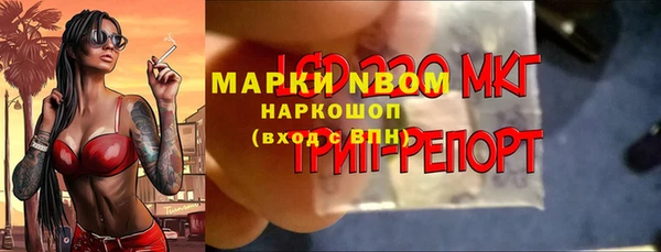 стаф Абаза